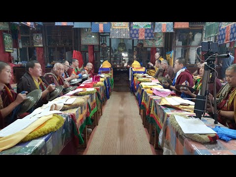 Видео: Алтан Гэрэл 08.11.2022 Начало 13:00