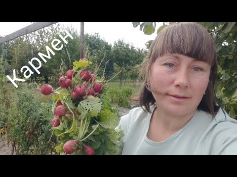 Видео: Татко чи щасливий, а я, щаслива! Зібрала редиску, розсадила полуницю!