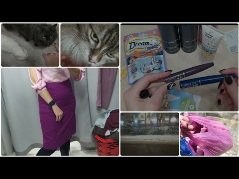 Видео: МОИ ПОКУПКИ: секонд хенд, косметика и т.д. МОИ КОТИКИ 😸😸😸