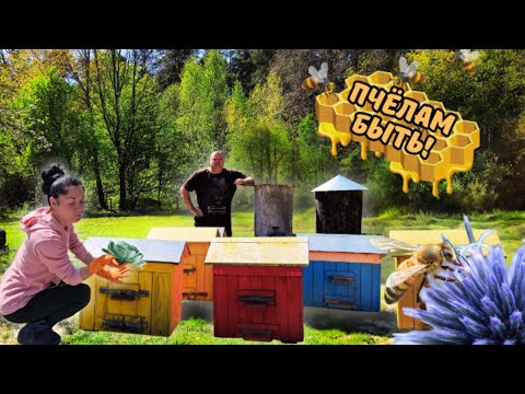 Видео: Насыщенная деревенская жизнь!🌳🐔🐶🐝 Ульи на участке👌 Виноградник ГОТОВ!✅ ВЫПУСК 20