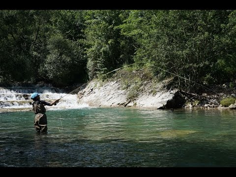 Видео: Первая форель. Приключения маленького рыболова. First trout. Adventures of a little fisherman.