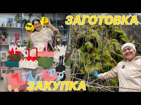 Видео: 🌷Неделя флориста - Ящики от DAHLIABOXES | Заготовка мха и шишек в лесу | Подготовка к Новому Году
