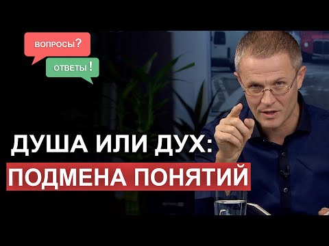 Видео: Душа или дух: подмена понятий. Вопросы и ответы. Александр Шевченко.