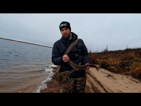 Видео: Осенние джиговые рыбалки на Большой реке! Сезон закрыт!