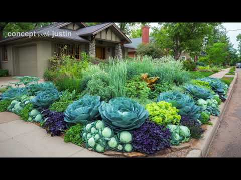 Видео: Идеи ландшафтного дизайна переднего двора: вдохновляющие предложения по дизайну для вас!