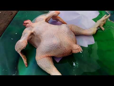 Видео: Перосъёмная машина ПМ-7М