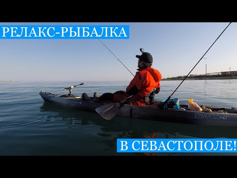 Видео: РЕЛАКС Рыбалка в Севастополе! - Ласкири, окуни, ставрида, рулены и драконы на булер и микроджиг!