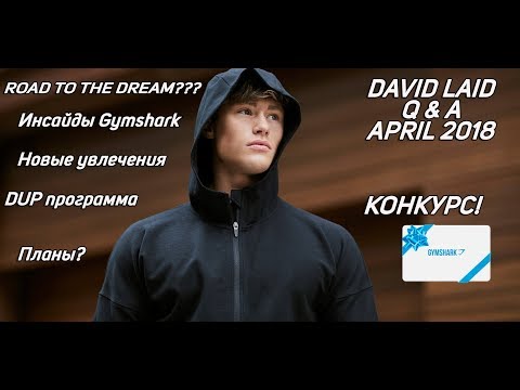Видео: Ламповые ответы на вопросы и конкурс с Дэвид Лейдом | David Laid Q&A April 2018