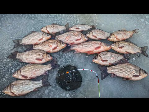 Видео: Нашли КАРАСЯ В камеру на местном водоеме, Ловля карася зимой, Зимняя рыбалка на карася, Карась