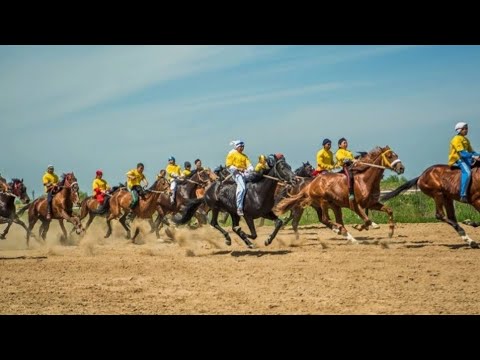 Видео: Атасының айтқанын істеп,бәйгеден бірінші келген бала