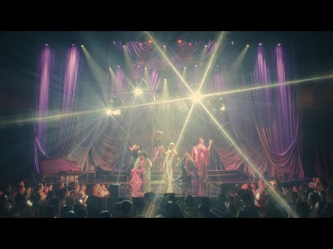 Видео: КОРОЛЕВСКИЕ КОБРЫ