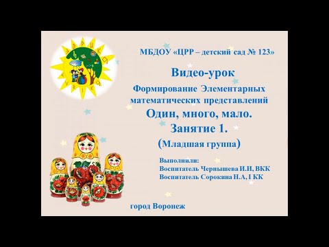 Видео: Видео-урок. Тема: "Один, много, мало" -  Занятие 1