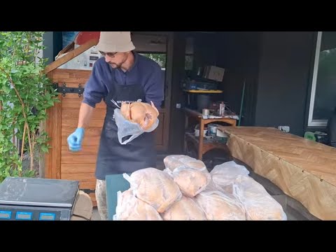 Видео: Ціна та вага тушки бройлера в 47 діб‼️Пробний Забій  Королівського бройлера‼️Бізнес на бройлерах‼️