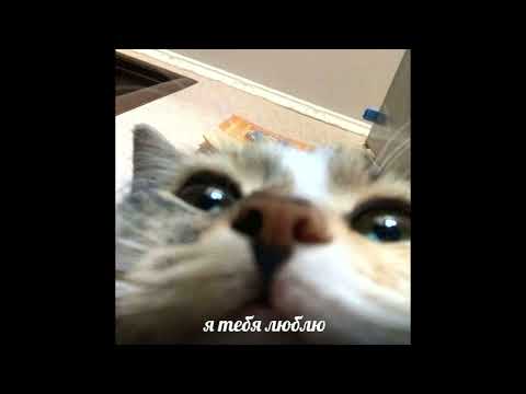 Видео: Скрябін - Спи собі сама (speed up)