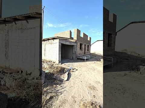 Видео: 11 ноября 2025 г.