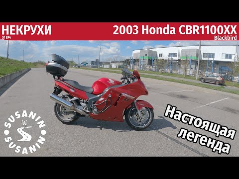 Видео: НЕКРУХИ №4 - Honda CBR1100XX Blackbird 2003. Почему легендарный дрозд в топе продаж среди некрух