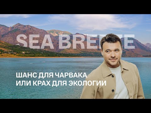 Видео: Что думают экологи о курорте Sea Breeze на Чарваке