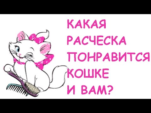 Видео: Какую расческу для кота выбрать?