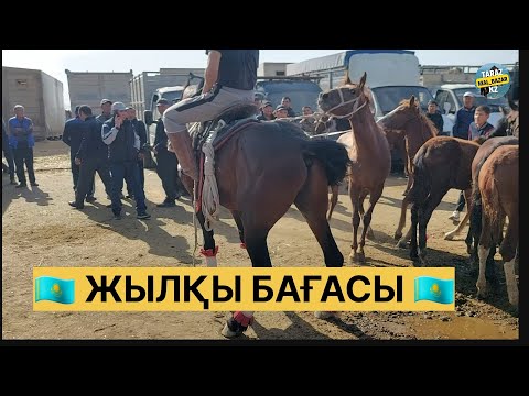 Видео: Мал базар 15.09.2024 Жылқы бағасы / Mal bazar Taraz