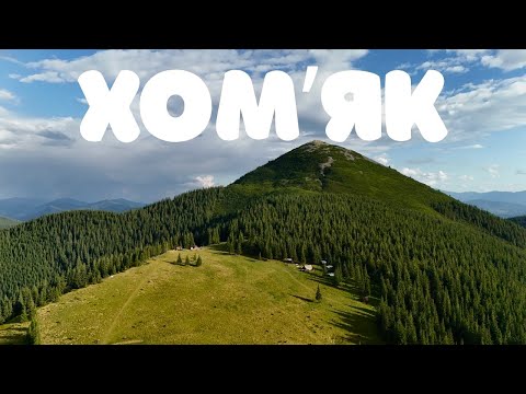 Видео: ХОМʼЯК
