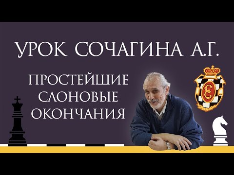 Видео: Видеоурок А.Г. Сочагина. Простейшие слоновые окончания