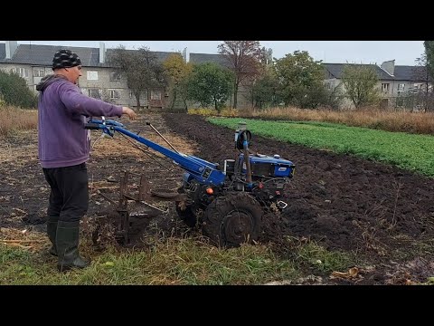 Видео: КЕНТАВР в деле. Пахота оборотным плугом.