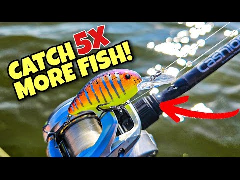 Видео: Рыба сошла с ума от этой ДИКОЙ расцветки приманки!