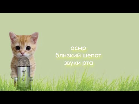 Видео: АСМР Близкий Шепот и Звуки Рта