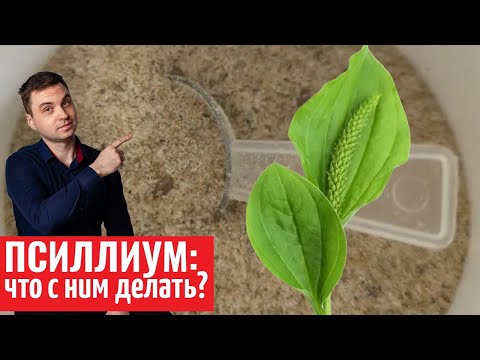 Видео: Псиллиум -лучшая клетчатка и суперсредство от запоров.