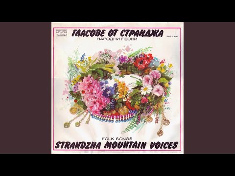 Видео: Страти на Ангелаки думаше