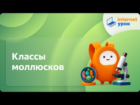 Видео: Классы моллюсков. Видеоурок по биологии 7 класс
