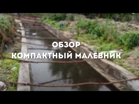Видео: Обзор. Маленькое хозяйство, малевник.