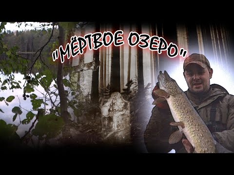 Видео: ЛОВЛЯ ЩУКИ на КРУПНУЮ РЕЗИНУ и ДЖЕРКИ ♦ LUCKY JOHN KUBIRA ♦ МЁРТВОЕ ОЗЕРО / SOODA JÄRV
