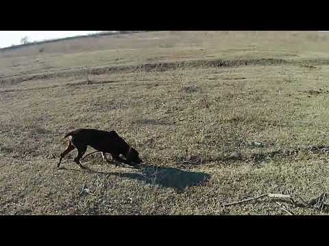 Видео: 3 февраля 2025 г.