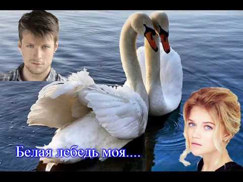 Видео: Белая лебедь моя PATRIS_любимой