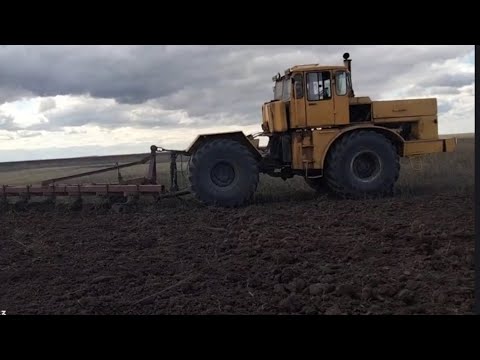 Видео: Уборка урожая идёт полным ходом! Пашем брошенный поле!