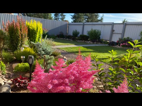 Видео: Магия цветов и цвета 🌺🌸🌺Новый цветничок 🌺🌸🌺Обзор теплицы🧑‍🌾🏡