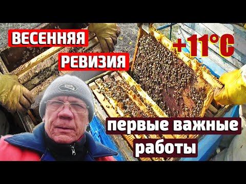 Видео: Как Правильно Открыть Улей Весной и Не Навредить Пчелам
