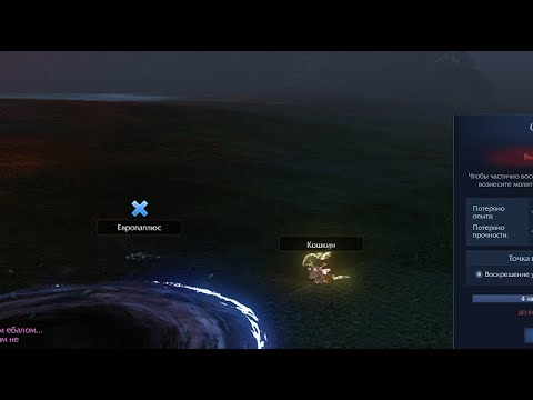 Видео: Archeage moments | 1x1 3x3 4x4 | Бард / Вагант | ДО СВЯЗИ | Кошкин