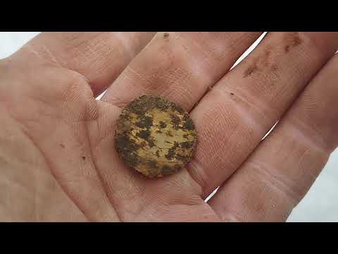 Видео: Находки по краю плотины зимой 2025г