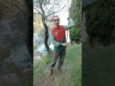 Видео: Практика (267) #гимнастика #цигун