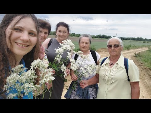 Видео: 1.06.2024 рік. 16а Проща на Середнянську гору ❤️