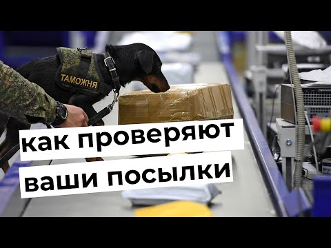 Видео: Таможенный контроль: как проверяют посылки из-за границы