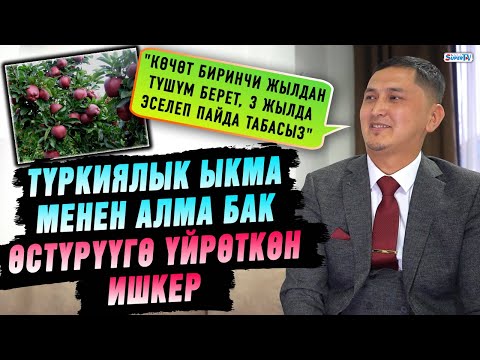 Видео: "Алма бак бизнеси 3 жылда эселеп киреше берет" дейт жеке ишкер