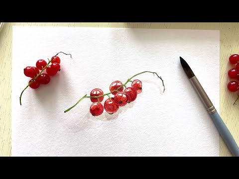 Видео: Рисуем красную смородину акварелью. Рисование онлайн для начинающих