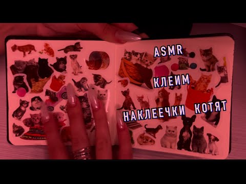 Видео: asmr клеим наклеечки котят 🥹