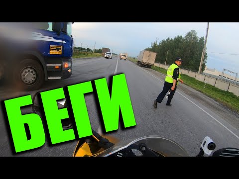 Видео: ЗЛАТА БЕГИ ПОЛИЦЕЙСКИЙ | КРАСНОЯРСК 4500 КМ
