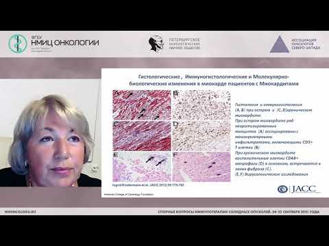 Видео: Кардиотоксичность иммунотерапии: клиническая значимость (Баллюзек М.Ф.)