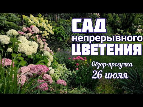 Видео: У нашего САДА нет ОТДЫХА в цветении 👑так подобраны растения👑и сорта.