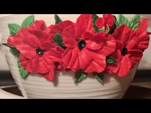 Видео: 10 ноября 2025 г.